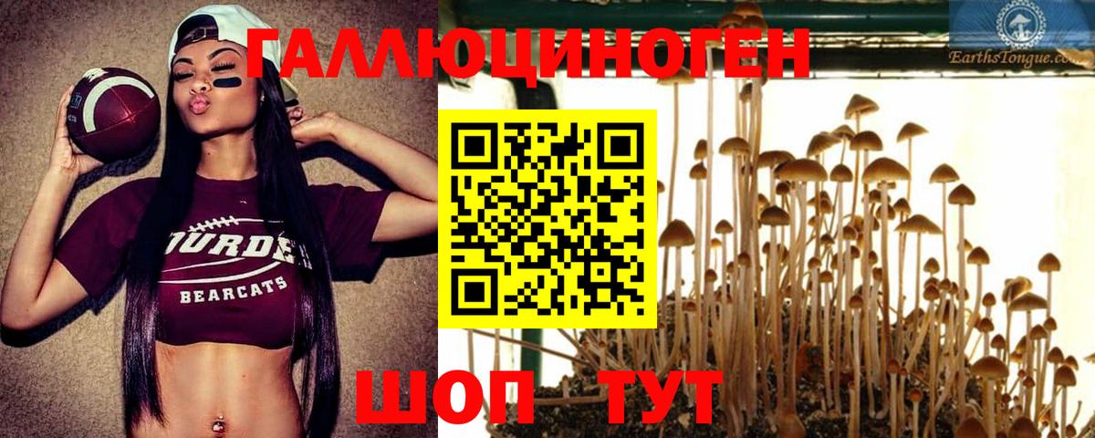 Псилоцибиновые грибы Psilocybe  Вход с VPN  Великий Новгород  Псилоцибиновые грибы мухоморы 